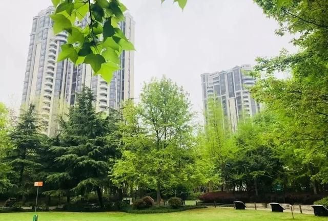 繁华大都市，租界的豪宅，上海的灵魂，梧桐树下的房子